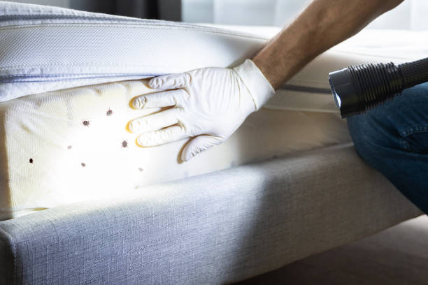 Best Bed Bug Extermination  in Pleasant Garden, NC