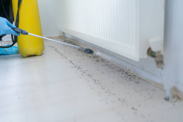 Best Best Pest Control Companies  in Pleasant Garden, NC
